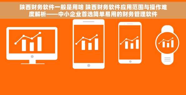陕西财务软件一般是用啥 陕西财务软件应用范围与操作难度解析——中小企业首选简单易用的财务管理软件