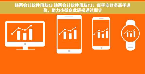 陕西会计软件用友t3 陕西会计软件用友T3：新手向财务高手进阶，助力小微企业轻松通过审计