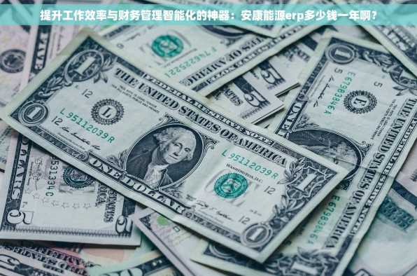 提升工作效率与财务管理智能化的神器：安康能源erp多少钱一年啊？