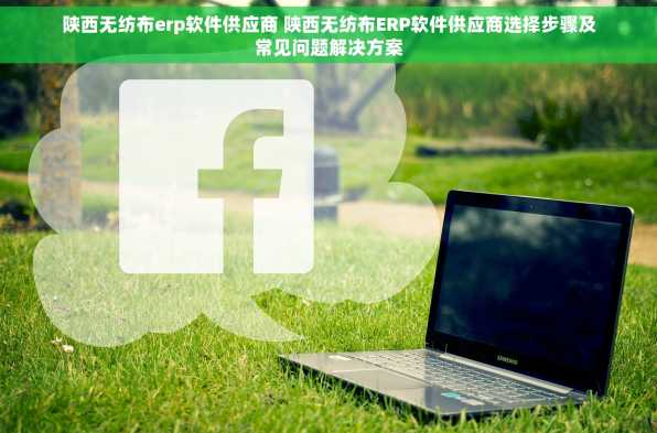 陕西无纺布erp软件供应商 陕西无纺布ERP软件供应商选择步骤及常见问题解决方案