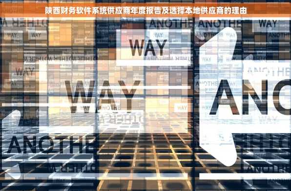 陕西财务软件系统供应商年度报告及选择本地供应商的理由