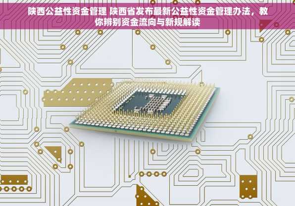 陕西公益性资金管理 陕西省发布最新公益性资金管理办法，教你辨别资金流向与新规解读