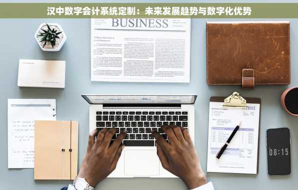 汉中数字会计系统定制：未来发展趋势与数字化优势