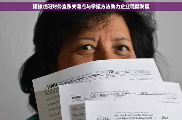 揭秘咸阳财务查账关键点与掌握方法助力企业稳健发展
