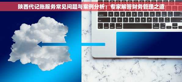陕西代记账服务常见问题与案例分析：专家解答财务管理之道