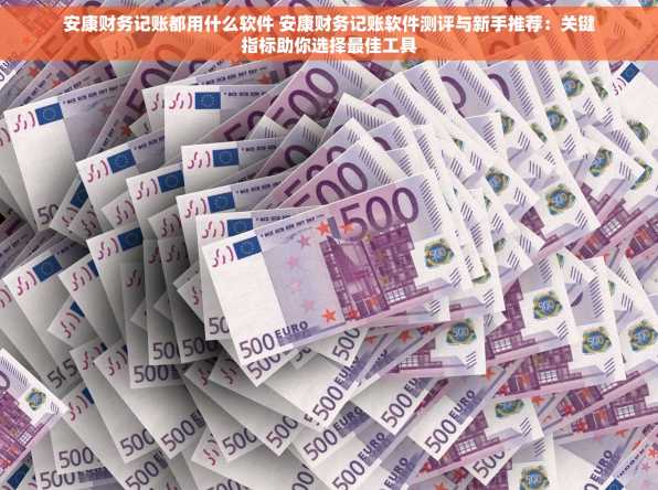 安康财务记账都用什么软件 安康财务记账软件测评与新手推荐：关键指标助你选择最佳工具