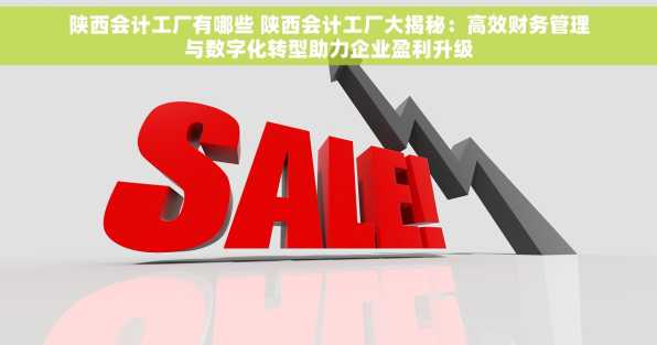 陕西会计工厂有哪些 陕西会计工厂大揭秘：高效财务管理与数字化转型助力企业盈利升级