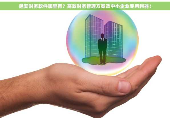 延安财务软件哪里有？高效财务管理方案及中小企业专用利器！