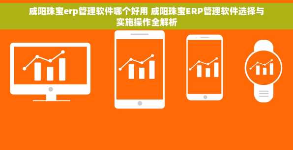 咸阳珠宝erp管理软件哪个好用 咸阳珠宝ERP管理软件选择与实施操作全解析