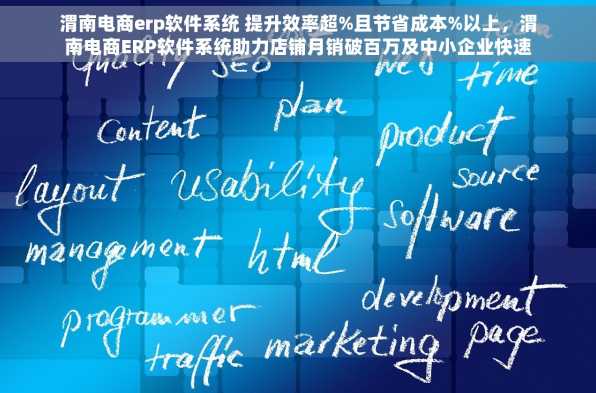 渭南电商erp软件系统 提升效率超%且节省成本%以上，渭南电商ERP软件系统助力店铺月销破百万及中小企业快速成长