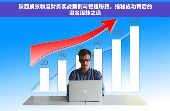 陕西蚂蚁物流财务实战案例与管理秘籍，揭秘成功背后的资金周转之道