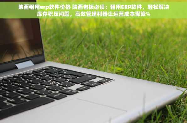 陕西租用erp软件价格 陕西老板必读：租用ERP软件，轻松解决库存积压问题，高效管理利器让运营成本骤降%