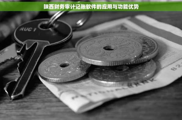 陕西财务审计记账软件的应用与功能优势