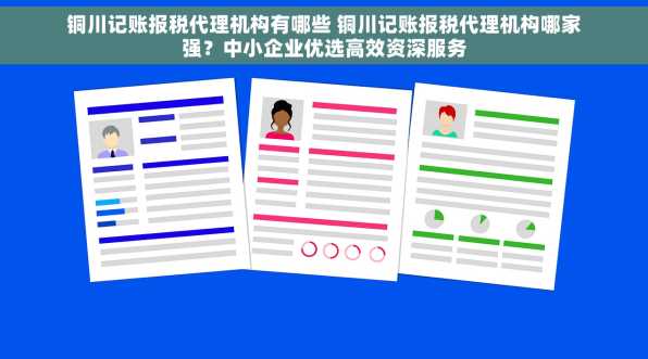 铜川记账报税代理机构有哪些 铜川记账报税代理机构哪家强？中小企业优选高效资深服务