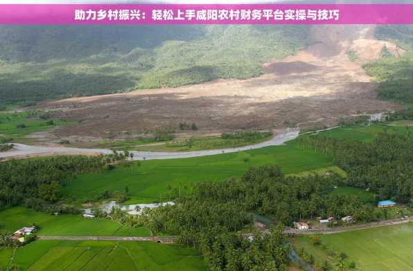 助力乡村振兴：轻松上手咸阳农村财务平台实操与技巧