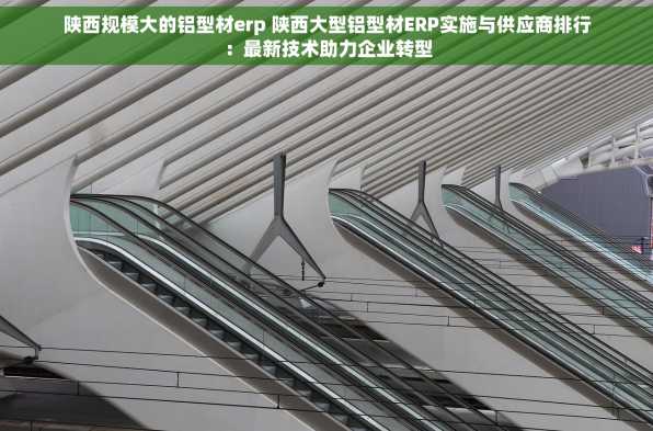 陕西规模大的铝型材erp 陕西大型铝型材ERP实施与供应商排行：最新技术助力企业转型