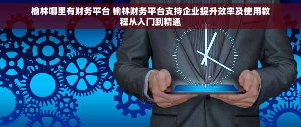 榆林哪里有财务平台 榆林财务平台支持企业提升效率及使用教程从入门到精通