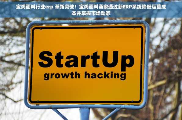 宝鸡面料行业erp 革新突破！宝鸡面料商家通过新ERP系统降低运营成本并掌握市场动态