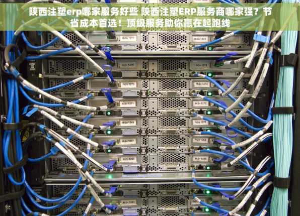 陕西注塑erp哪家服务好些 陕西注塑ERP服务商哪家强？节省成本首选！顶级服务助你赢在起跑线