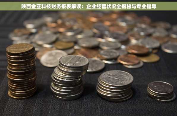 陕西金亚科技财务报表解读：企业经营状况全揭秘与专业指导