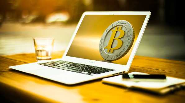 陕西金亚科技财务报表解读：企业经营状况全揭秘与专业指导