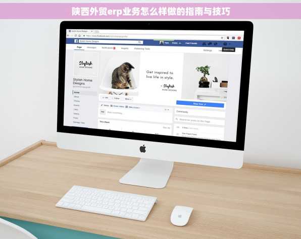 陕西外贸erp业务怎么样做的指南与技巧