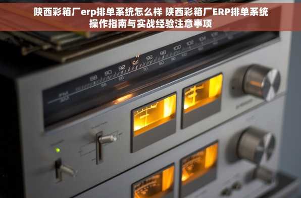 陕西彩箱厂erp排单系统怎么样 陕西彩箱厂ERP排单系统操作指南与实战经验注意事项