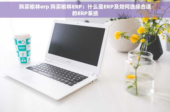 购买榆林erp 购买榆林ERP：什么是ERP及如何选择合适的ERP系统