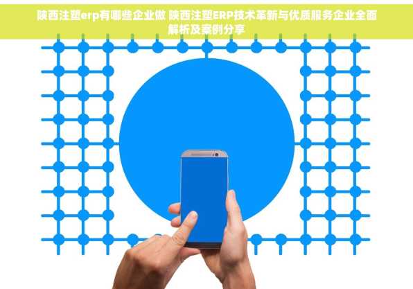 陕西注塑erp有哪些企业做 陕西注塑ERP技术革新与优质服务企业全面解析及案例分享