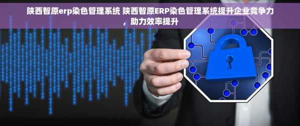 陕西智原erp染色管理系统 陕西智原ERP染色管理系统提升企业竞争力，助力效率提升