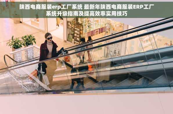 陕西电商服装erp工厂系统 最新年陕西电商服装ERP工厂系统升级指南及提高效率实用技巧