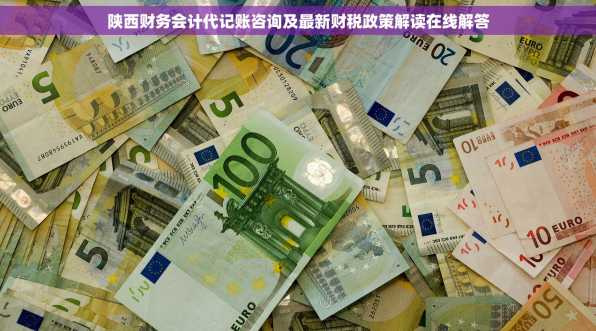 陕西财务会计代记账咨询及最新财税政策解读在线解答