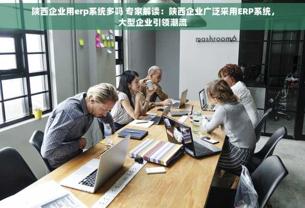 陕西企业用erp系统多吗 专家解读：陕西企业广泛采用ERP系统，大型企业引领潮流