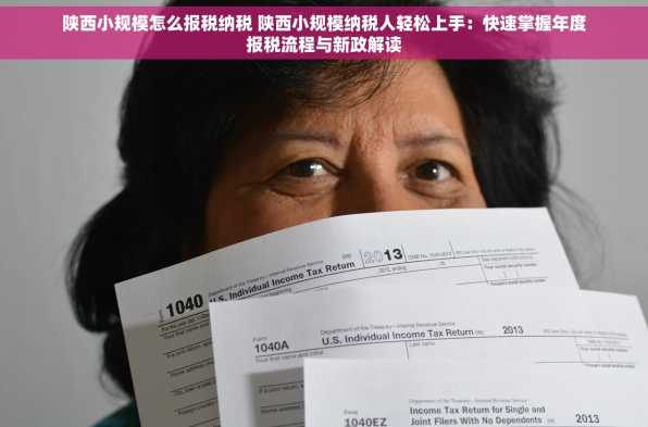 陕西小规模怎么报税纳税 陕西小规模纳税人轻松上手：快速掌握年度报税流程与新政解读