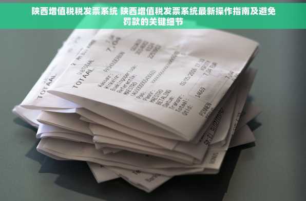 陕西增值税税发票系统 陕西增值税发票系统最新操作指南及避免罚款的关键细节