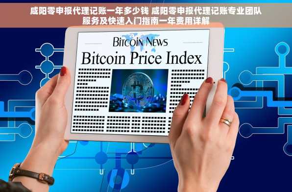 咸阳零申报代理记账一年多少钱 咸阳零申报代理记账专业团队服务及快速入门指南一年费用详解