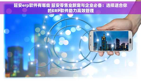 延安erp软件有哪些 延安零售业新宠与企业必备：选择适合你的ERP软件助力高效管理
