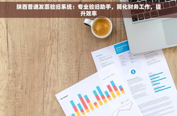 陕西普通发票验旧系统：专业验旧助手，简化财务工作，提升效率
