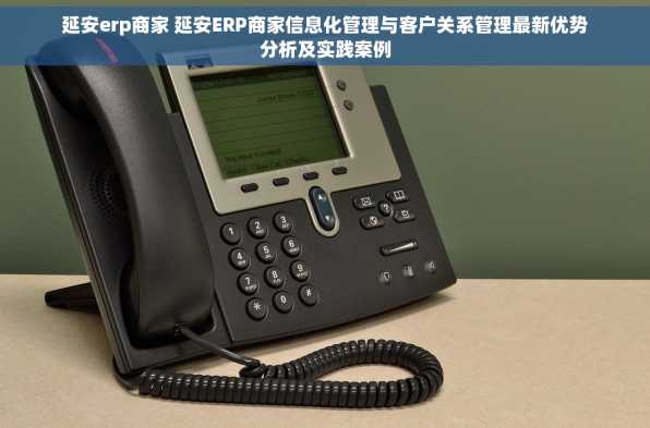 延安erp商家 延安ERP商家信息化管理与客户关系管理最新优势分析及实践案例
