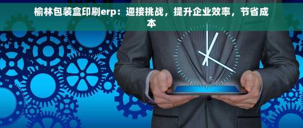 榆林包装盒印刷erp：迎接挑战，提升企业效率，节省成本