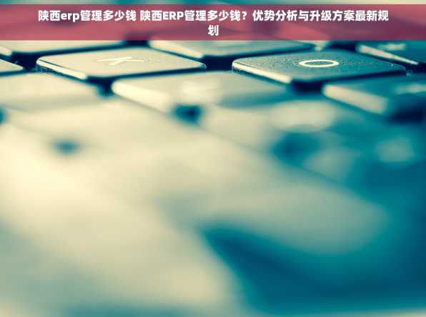陕西erp管理多少钱 陕西ERP管理多少钱？优势分析与升级方案最新规划