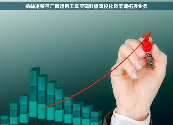 榆林进销存厂商运用工具实现数据可视化及渠道拓展业务