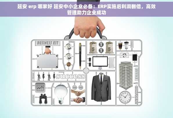 延安 erp 哪家好 延安中小企业必备：ERP实施后利润翻倍，高效管理助力企业成功