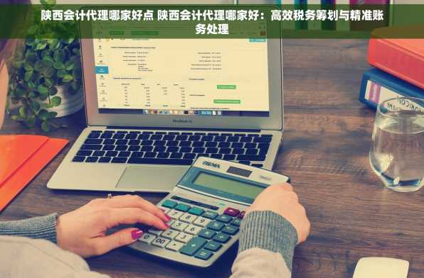 陕西会计代理哪家好点 陕西会计代理哪家好：高效税务筹划与精准账务处理