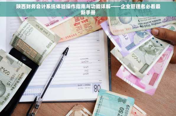 陕西财务会计系统体验操作指南与功能详解——企业管理者必看最新手册