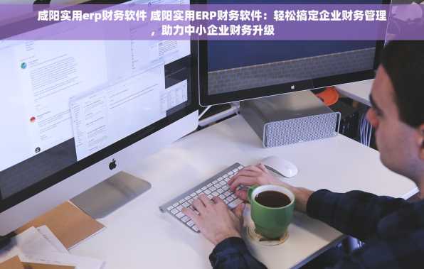 咸阳实用erp财务软件 咸阳实用ERP财务软件：轻松搞定企业财务管理，助力中小企业财务升级