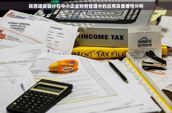 陕西建安会计在中小企业财务管理中的应用及重要性分析