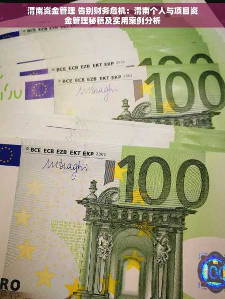 渭南资金管理 告别财务危机：渭南个人与项目资金管理秘籍及实用案例分析