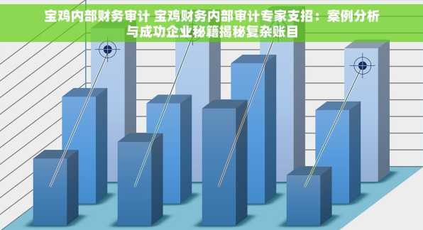 宝鸡内部财务审计 宝鸡财务内部审计专家支招：案例分析与成功企业秘籍揭秘复杂账目