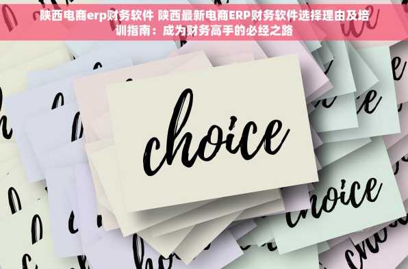 陕西电商erp财务软件 陕西最新电商ERP财务软件选择理由及培训指南：成为财务高手的必经之路